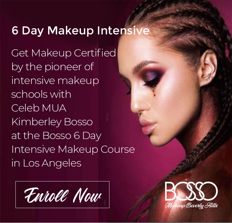 Celebrity Makeup Artist School